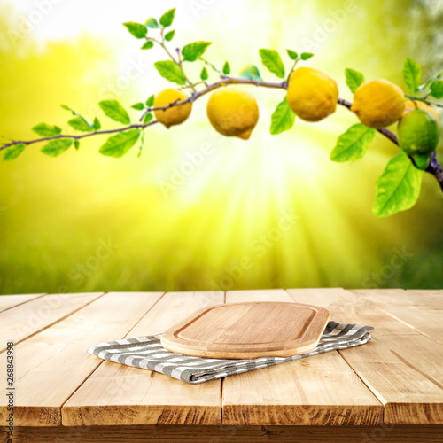 Table background of free space and summer garden background. Branch of fresh lemons and summser sunny day.  photo