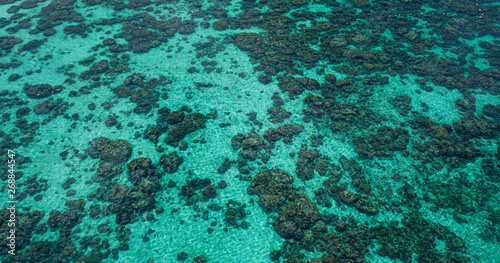 Aerial drone top view of the crystal clear lagoon sea water surface with coral reef