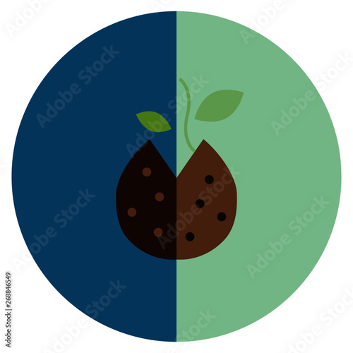 Icon of cannabis, hemp or marijuana sprouting seed