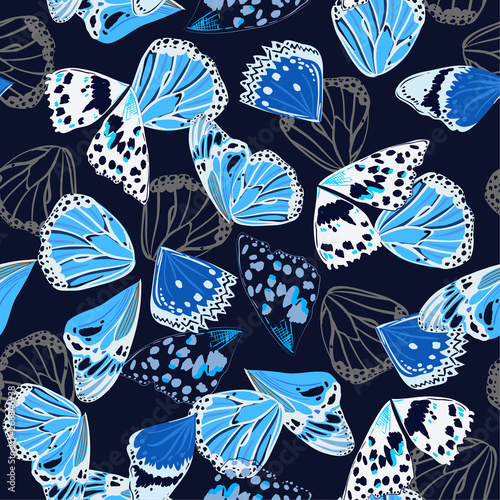 Monotone navy and blue colors seamless pattern vectror of butterfly wing surface line hand drawing sketch dsign photo