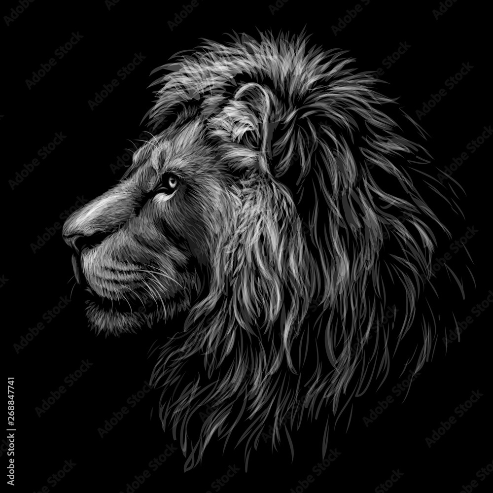 Black and white, graphic portrait of a lion's head profile on a black  background. Stock Vector | Adobe Stock