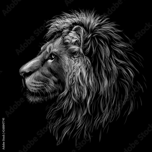 Black and white, graphic portrait of a lion's head profile on a black background.