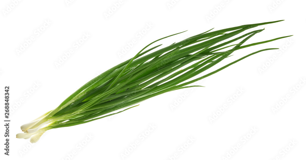 bunch of green onions isolated without shadow clipping path bunch of green onions isolated without shadow clipping path