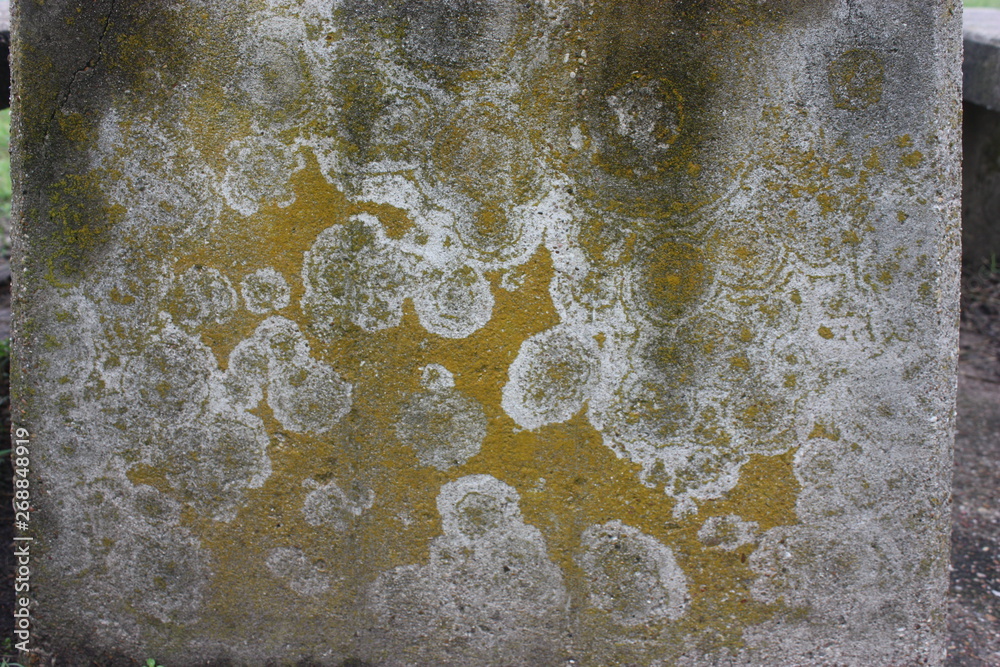 texture on concrete