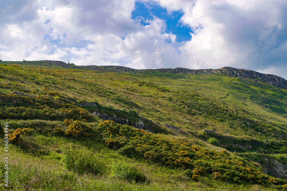 Rolling green hills in Wicklow, Ireland with blue sky and white fluffy clouds in summer.