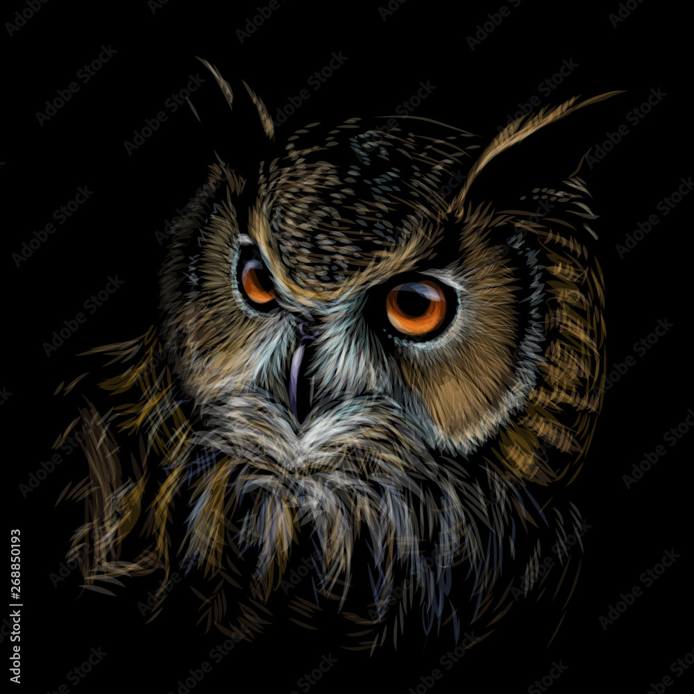 Long-eared Owl. Color graphic hand-drawn portrait of an owl on a black background. - obrazy, fototapety, plakaty 