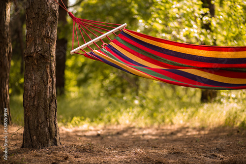 Relaxing lazy time with hammock in forest. Beautiful landscape with swinging hammock in summer garden, sunny day. Travel, adventure, camping gear.