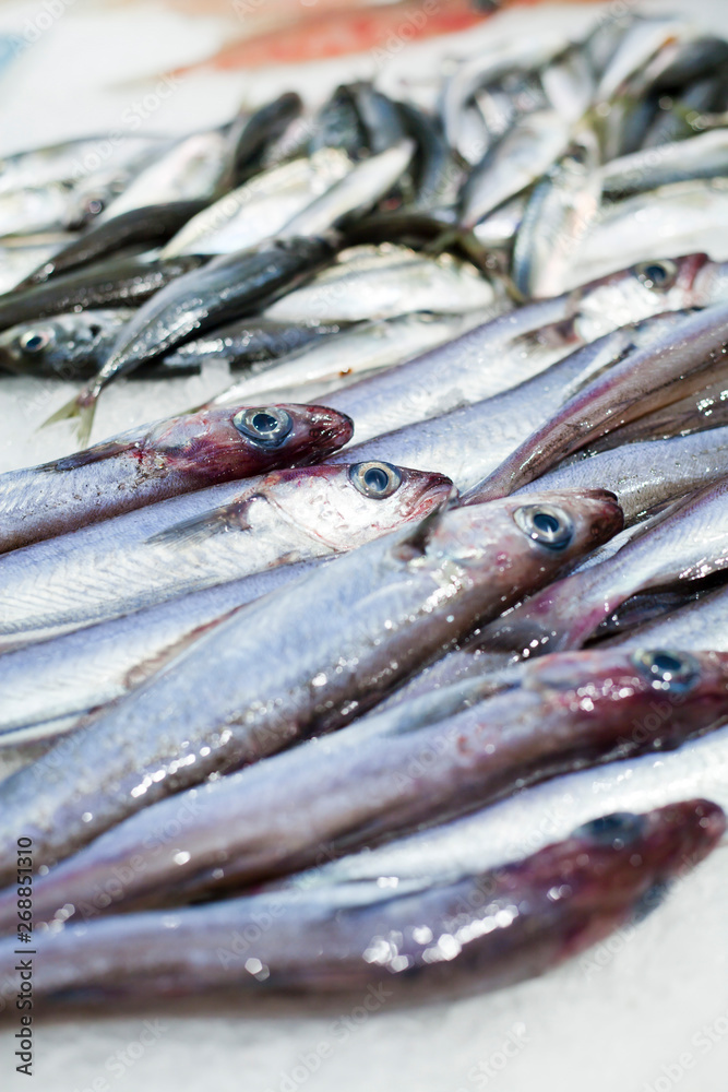 Fresh sardines fish market.