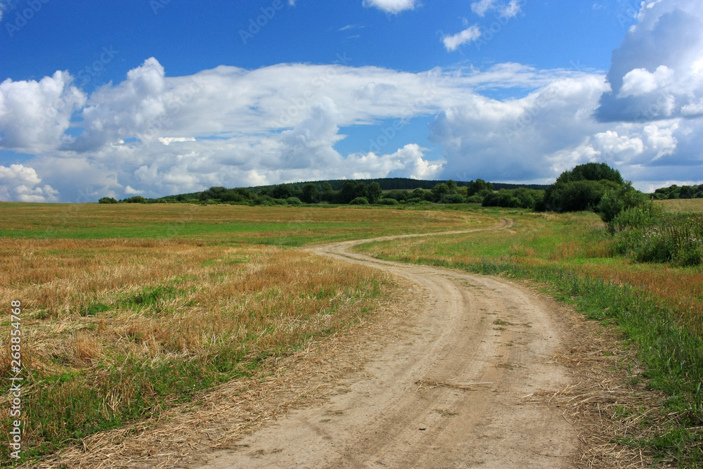 Dirt country winding road in a field