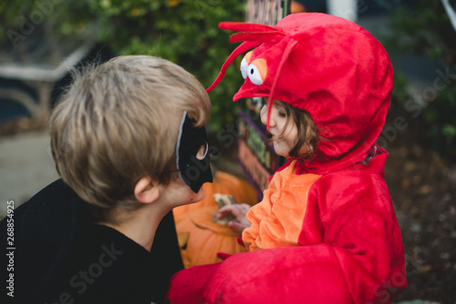 Bat and Lobster Meet