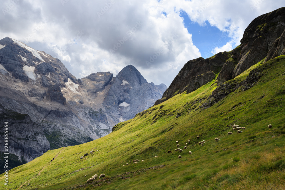 panorama dal sentiero Viel del Pan