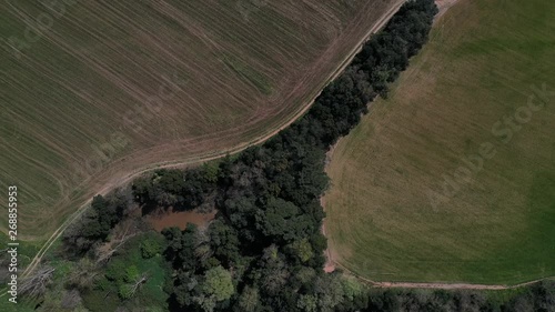 Aerial view of mediterranean forest, Cruilles, Emporda, Girona, Catalonia, Spain, Europe photo