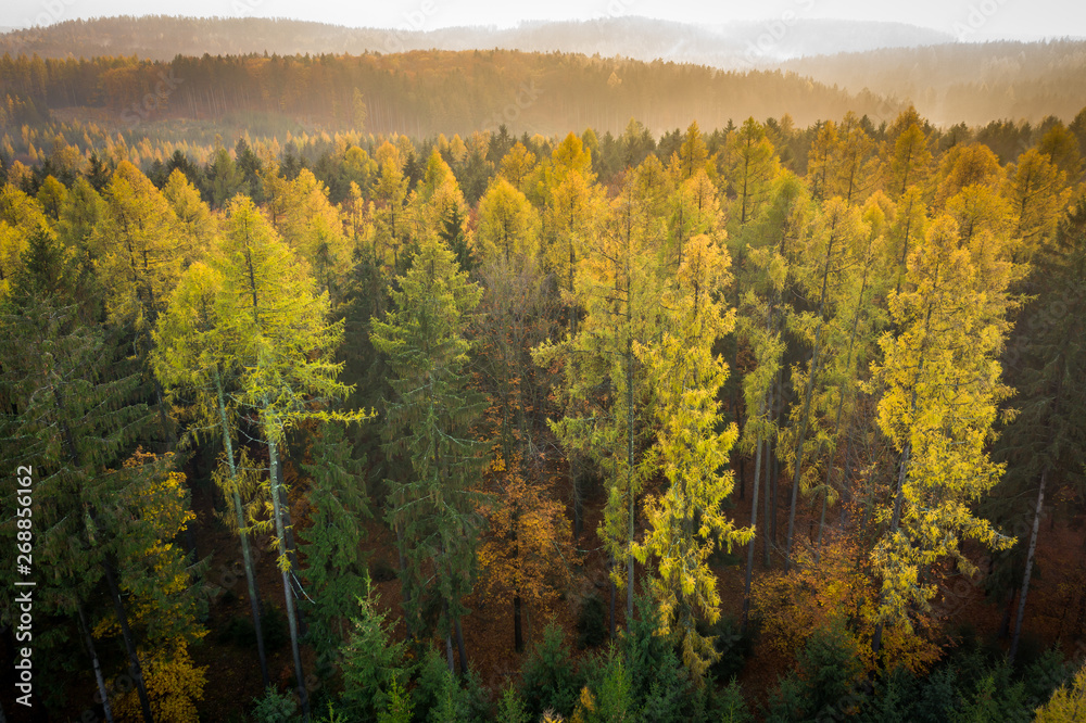 Voderady Beechwood is a National Nature Reserve. There are natural beech forests on relatively acidic soil in the reserve, a type of forest habitat that needs protection.