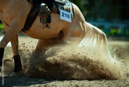 quarter horse while performing the reining western element with a cloud of dust detail closeup photo