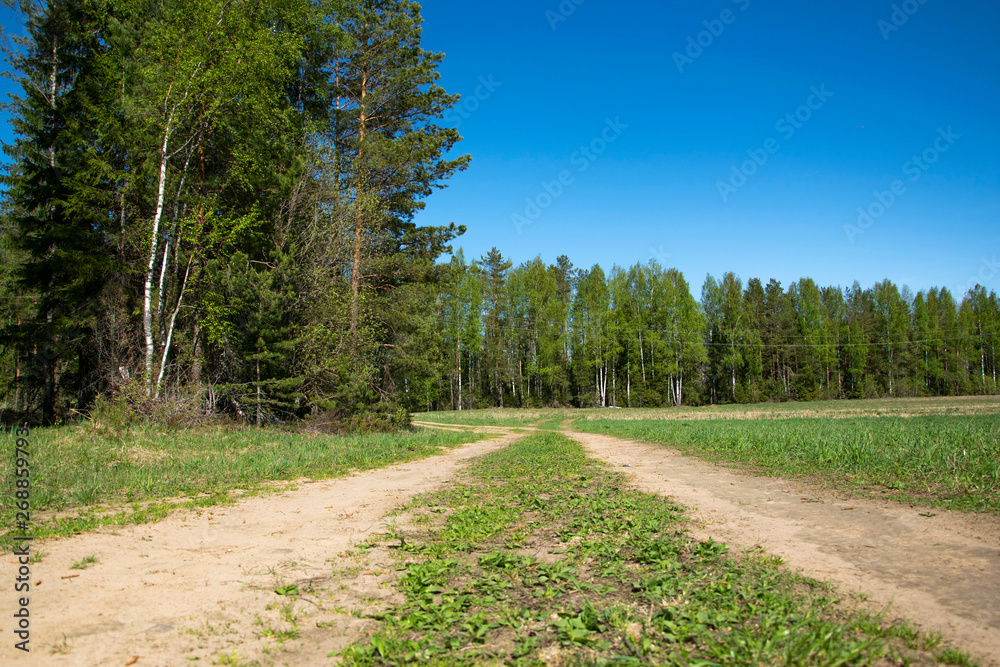 Obraz premium Spring, nature, spring forest, fields, lakes and rivers.