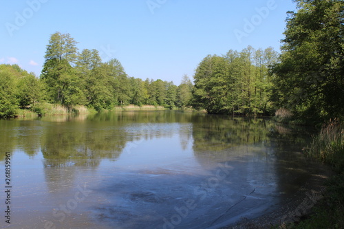 Teichlandschaft