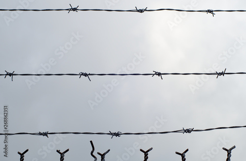 barbed barbwire fence forbidden private barrier security protection