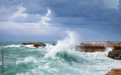 Coastal landscape with big waves