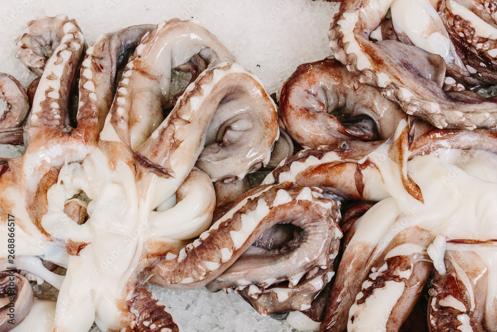Octopus at a Madeira fish market Octopus at a Madeira fish market