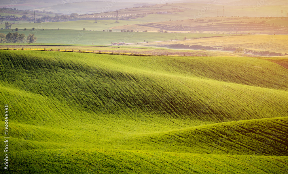 Rolling hills of green wheat fields. Amazing fairy minimalistic landscape with waves hills, rolling hills. Abstract nature background. South Moravia, Czech Republic