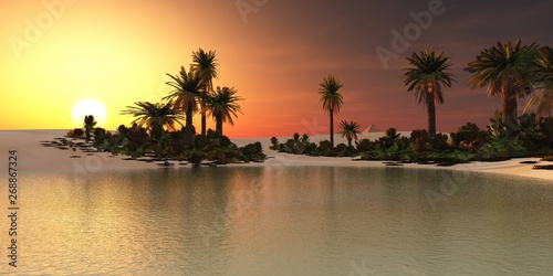 Oasis in the desert of sand, palm trees and a pond in the sands, © ustas