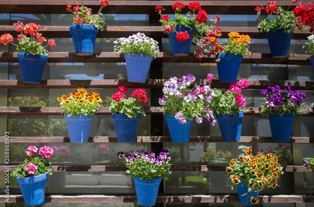 Obraz premium Vertical garden full of attached blue flowerpots