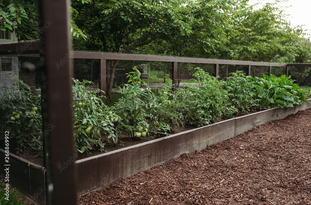 Garden Garden