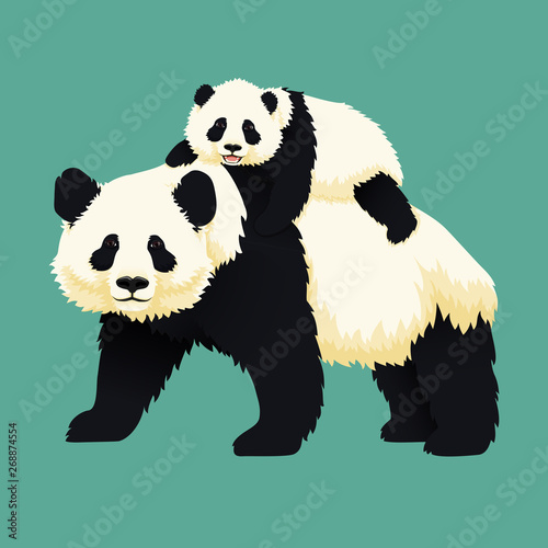 Fototapeta Naklejka Na Ścianę i Meble -  Happy smiling baby giant panda riding on the back of an adult panda. Chinese bear family. Mother or father and child. Rare, vulnerable species.