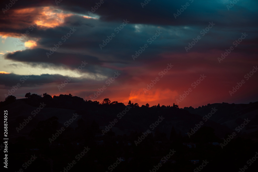 Obraz premium My Photo