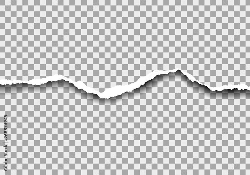 Realistic illustration of torn paper with space for text. Isolated on transparent background, vector