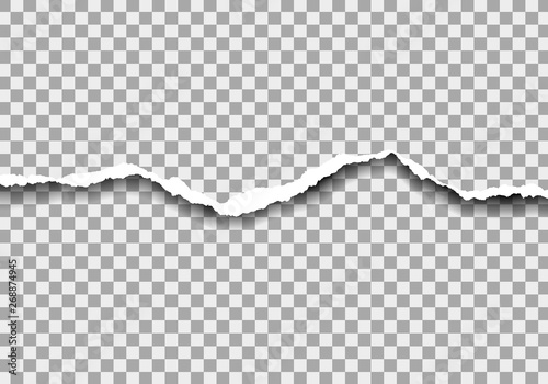 Realistic illustration of torn paper with space for text. Isolated on transparent background, vector