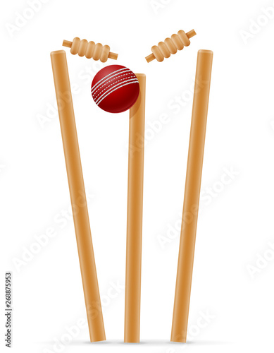 cricket gate and ball for a sports game stock vector illustration
