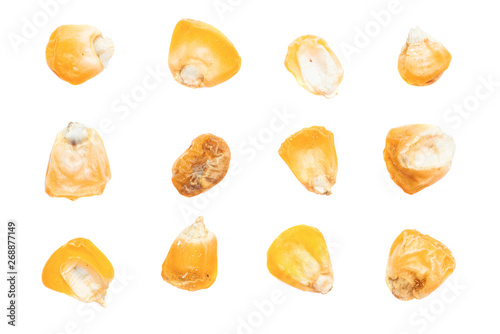 Corn seeds isolated on a white background. © Dmitriy