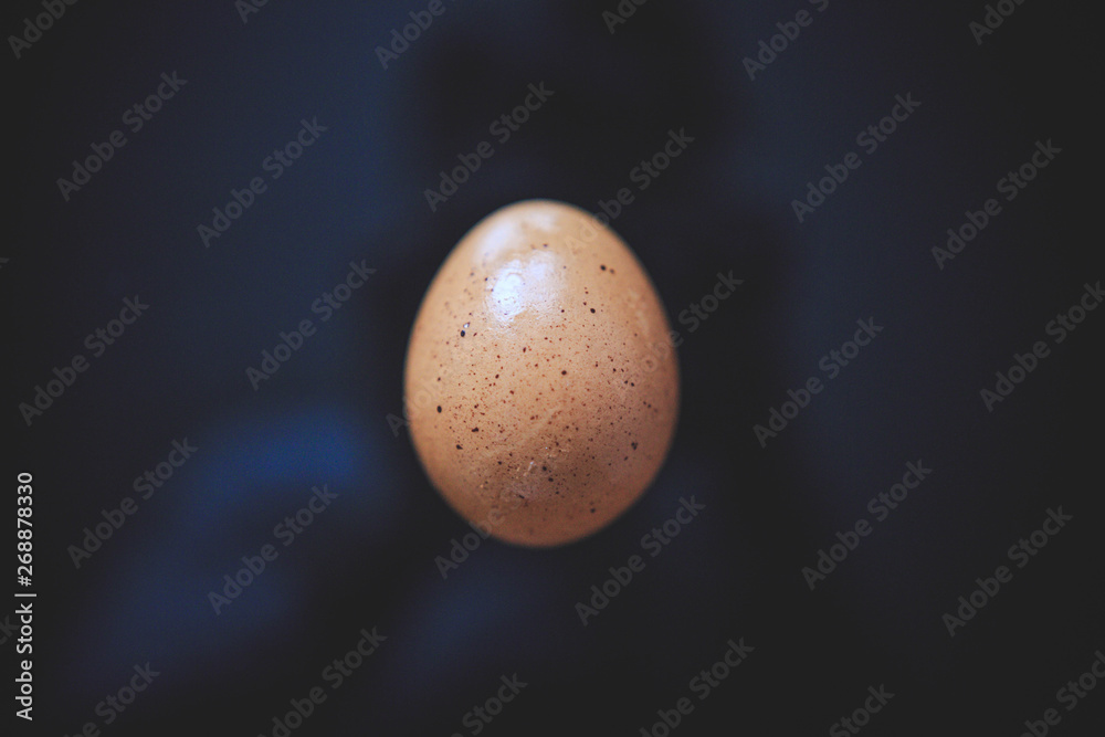 Chicken egg in the shell on black background taken from the top. Chicken egg in the shell on black background taken from the top.