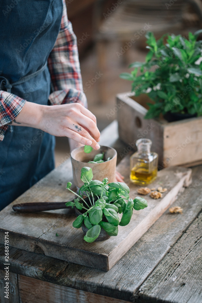 Crop woman putting basil in mortar for pesto Crop woman putting basil in mortar for pesto