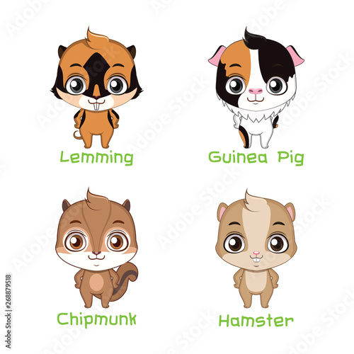 Set of small rodent species