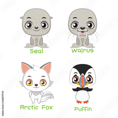 Set of arctic animal species