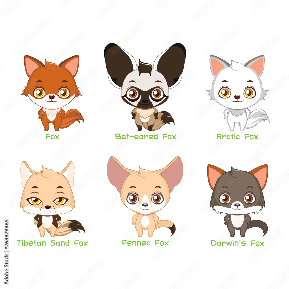 Set of fox species Stock Vector | Adobe Stock