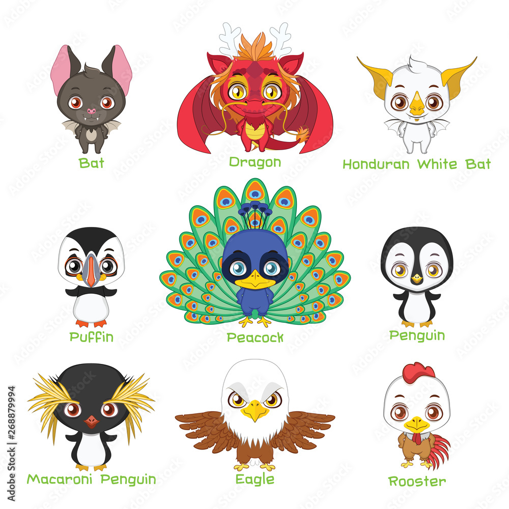 Set of various avian animals