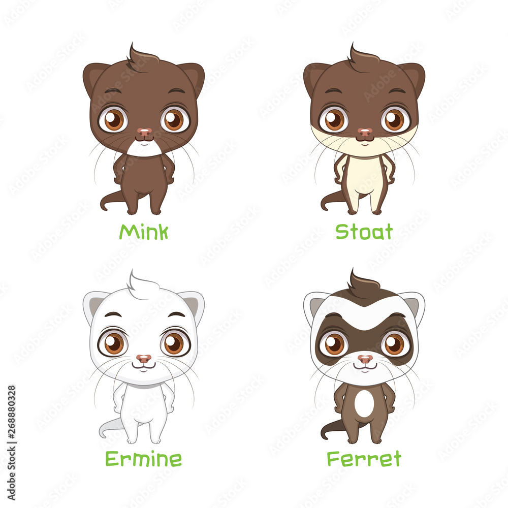 Obraz premium Set of polecat species