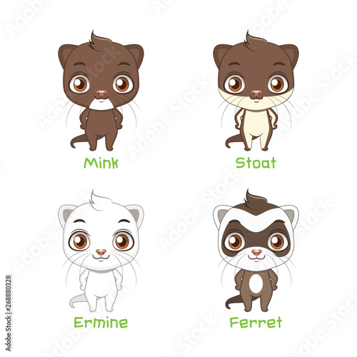 Set of polecat species