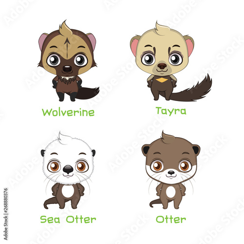 Set of various weasel species