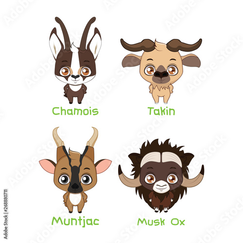 Set of various herbivores with horns