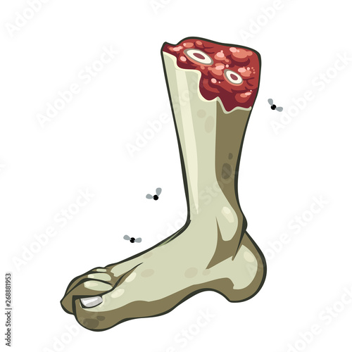 Cartoon vector severed rotten green leg