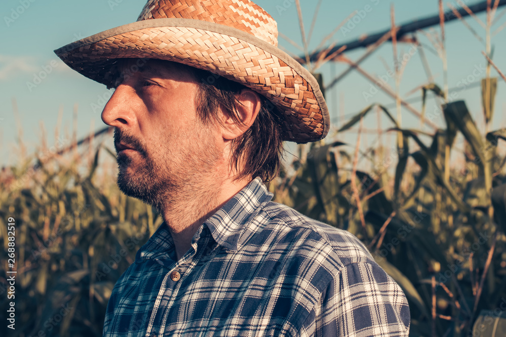 Confident serious farmer portrait in corn field