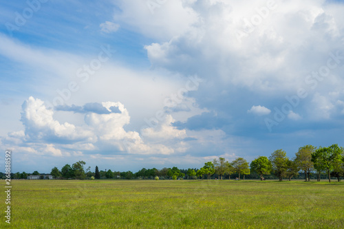 landscape photo of a green field with cloudy sky