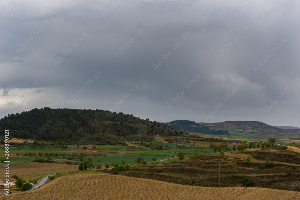 Landscape view of vineyards from the Castle of San Vicente de la Sonsierra in La Rioja, Spain