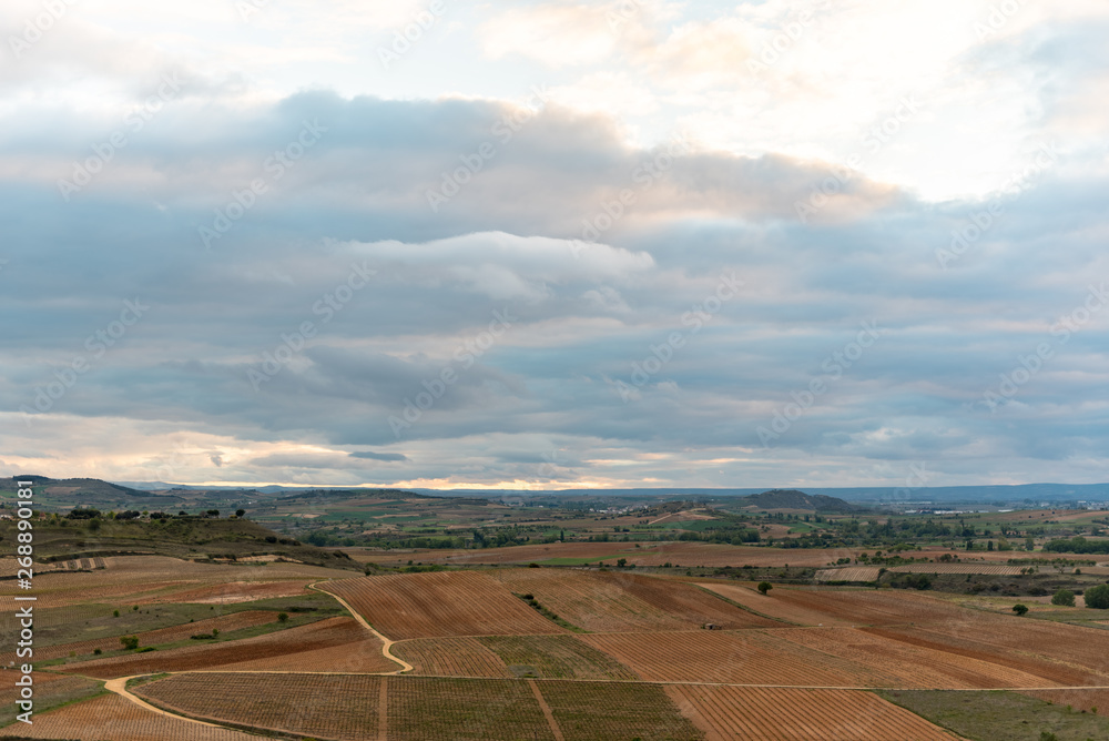 Landscape view of vineyards from the Castle of San Vicente de la Sonsierra in La Rioja, Spain Landscape view of vineyards from the Castle of San Vicente de la Sonsierra in La Rioja, Spain