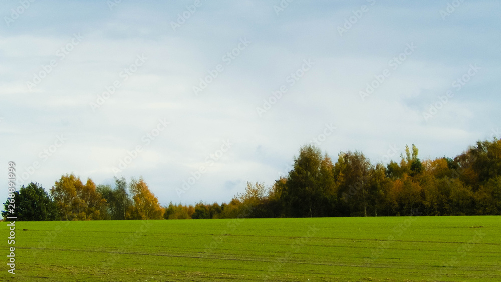 Green field on an autumn day. Northern Poland.