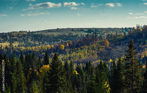 Panoramic view of trees of the autumn wood from above, with blue sky, Stone Hill, Mari El, Russia
